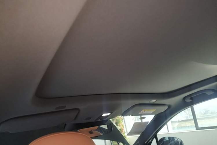 Used Hima H5 2025 Model Pure Electric Max Headliner