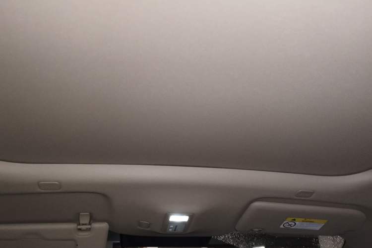 Used Hima H5 2025 Model Pure Electric Max Headliner