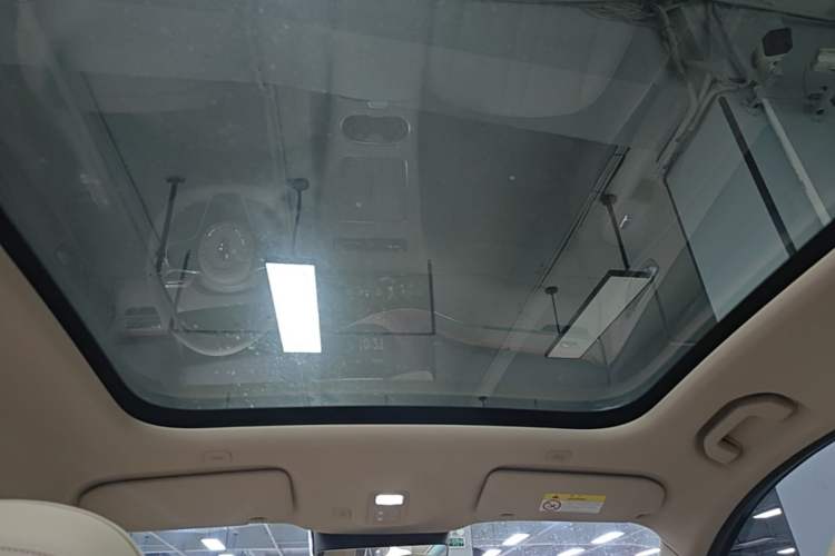Used Hima H5 2025 Model Pure Electric Max Headliner