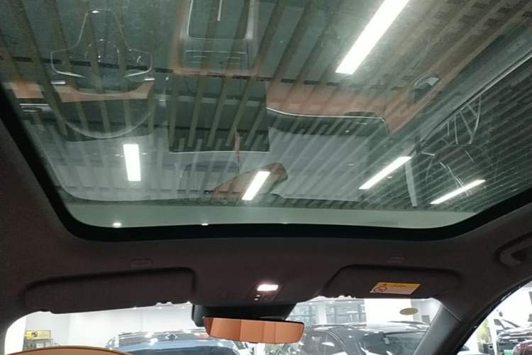 Used Hima H5 2025 Model Pure Electric Max Long Range Headliner