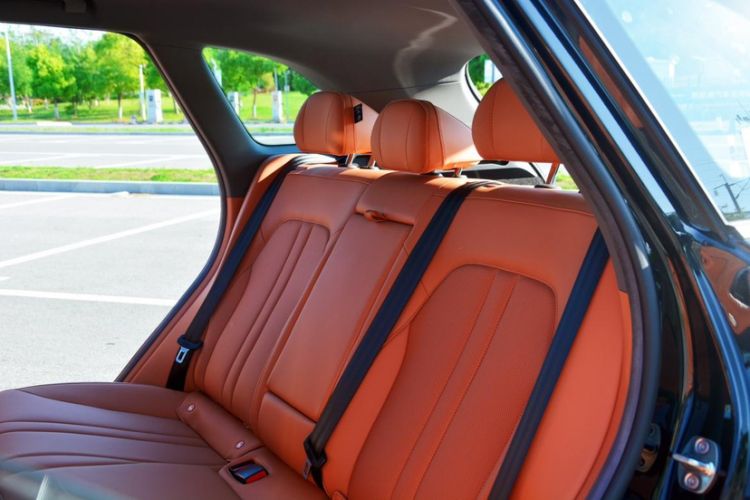 Used Hima H5 2025 Model Range-Extending Max Interior 2