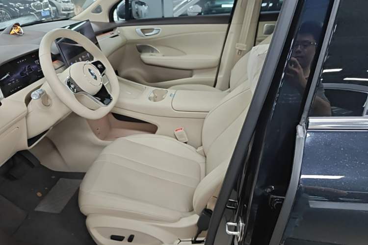 Used Hima H5 2025 Model Pure Electric Max Left Front Seat