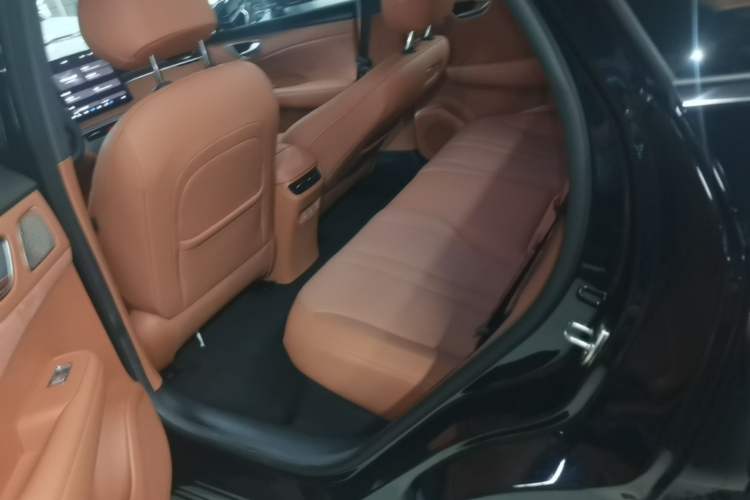 Used Hima H5 2025 Model Range-Extending Max Left Rear Seat