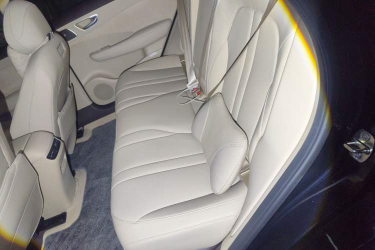 Used Hima H5 2025 Model Range-Extending Max Left Rear Seat
