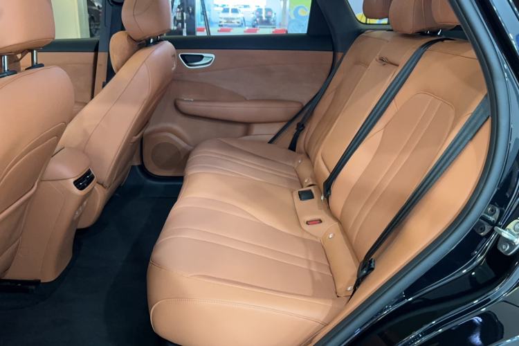 Used Hima H5 2025 Model Range-Extending Max Left Rear Seat