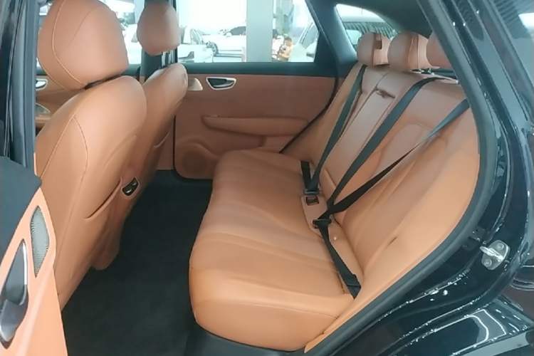 Used Hima H5 2025 Model Pure Electric Max Long Range Left Rear Seat