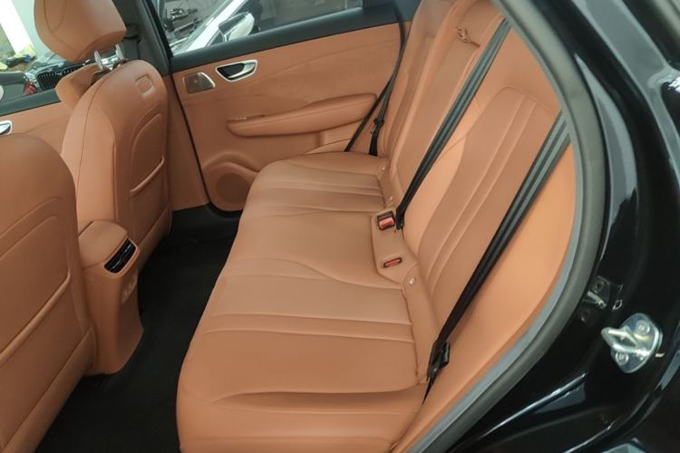 Used Hima H5 2025 Model Pure Electric Max Left Rear Seat