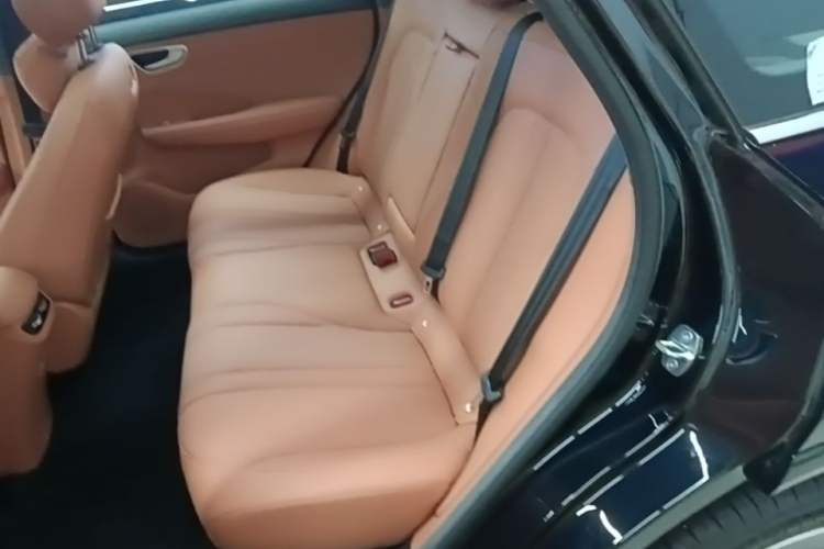 Used Hima H5 2025 Model Range-Extending Max Left Rear Seat