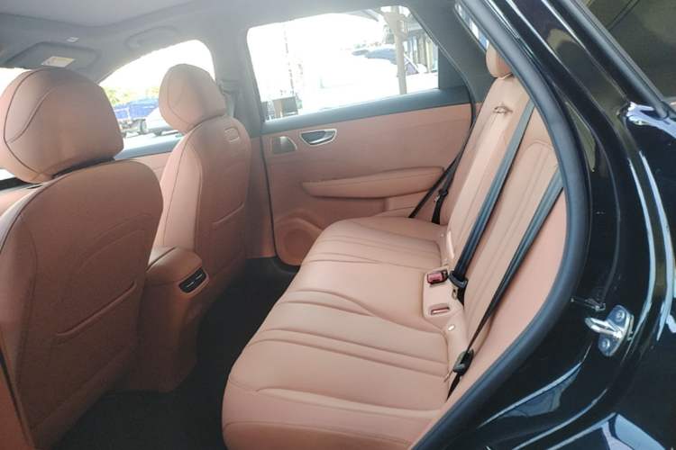 Used Hima H5 2025 Model Range-Extending Max Left Rear Seat