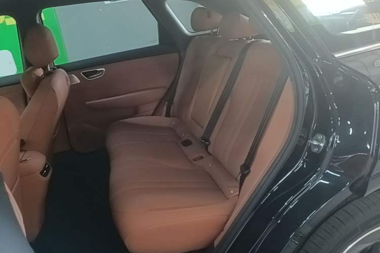 Used Hima H5 2025 Model Range-Extending Max Left Rear Seat