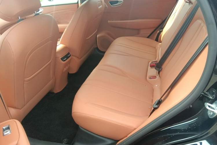 Used Hima H5 2025 Model Range-Extending Max Left Rear Seat