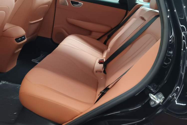 Used Hima H5 2025 Model Range-Extending Max Left Rear Seat