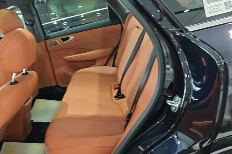 Used Hima H5 2025 Model Range-Extending Max Left Rear Seat