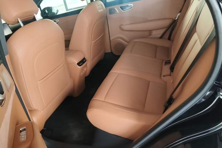 Used Hima H5 2025 Model Pure Electric Max Left Rear Seat