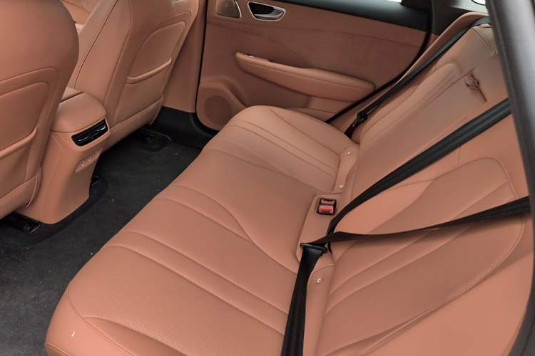 Used Hima H5 2025 Model Pure Electric Max Long Range Left Rear Seat