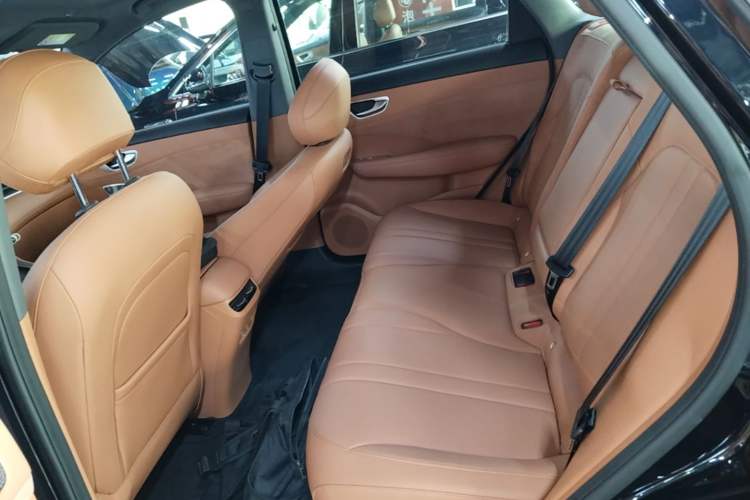 Used Hima H5 2025 Model Range-Extending Max Left Rear Seat