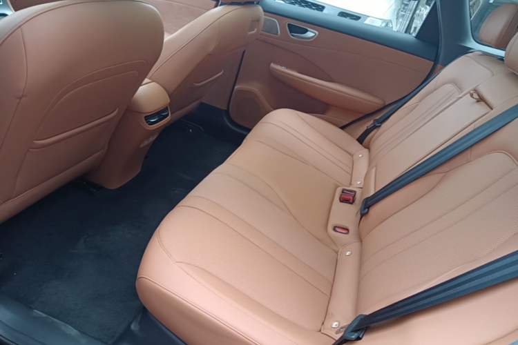 Used Hima H5 2025 Model Range-Extending Max Left Rear Seat