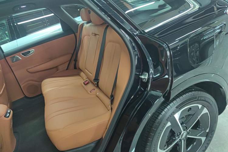 Used Hima H5 2025 Model Range-Extending Max Left Rear Seat
