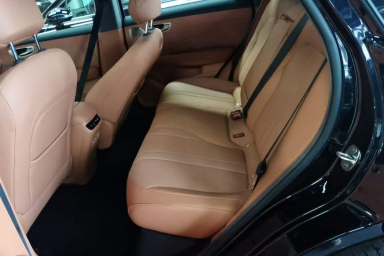 Used Hima H5 2025 Model Range-Extending Max Left Rear Seat