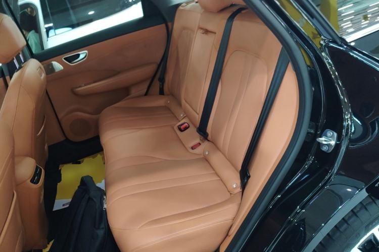 Used Hima H5 2025 Model Pure Electric Max Long Range Left Rear Seat