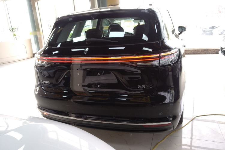 Used Hima H5 2025 Model Pure Electric Max Long Range Rear