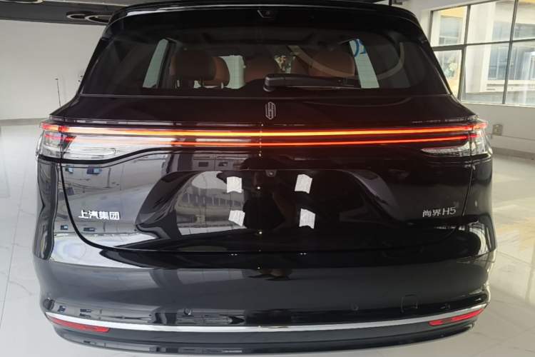 Used Hima H5 2025 Model Pure Electric Max Rear