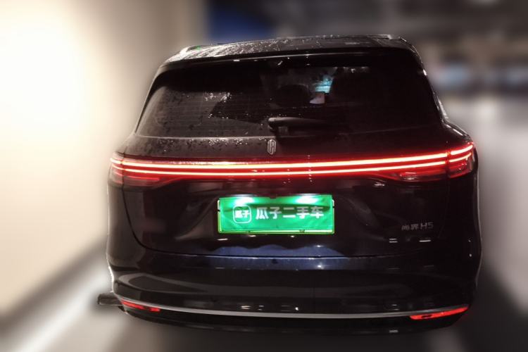 Used Hima H5 2025 Model Pure Electric Max Rear