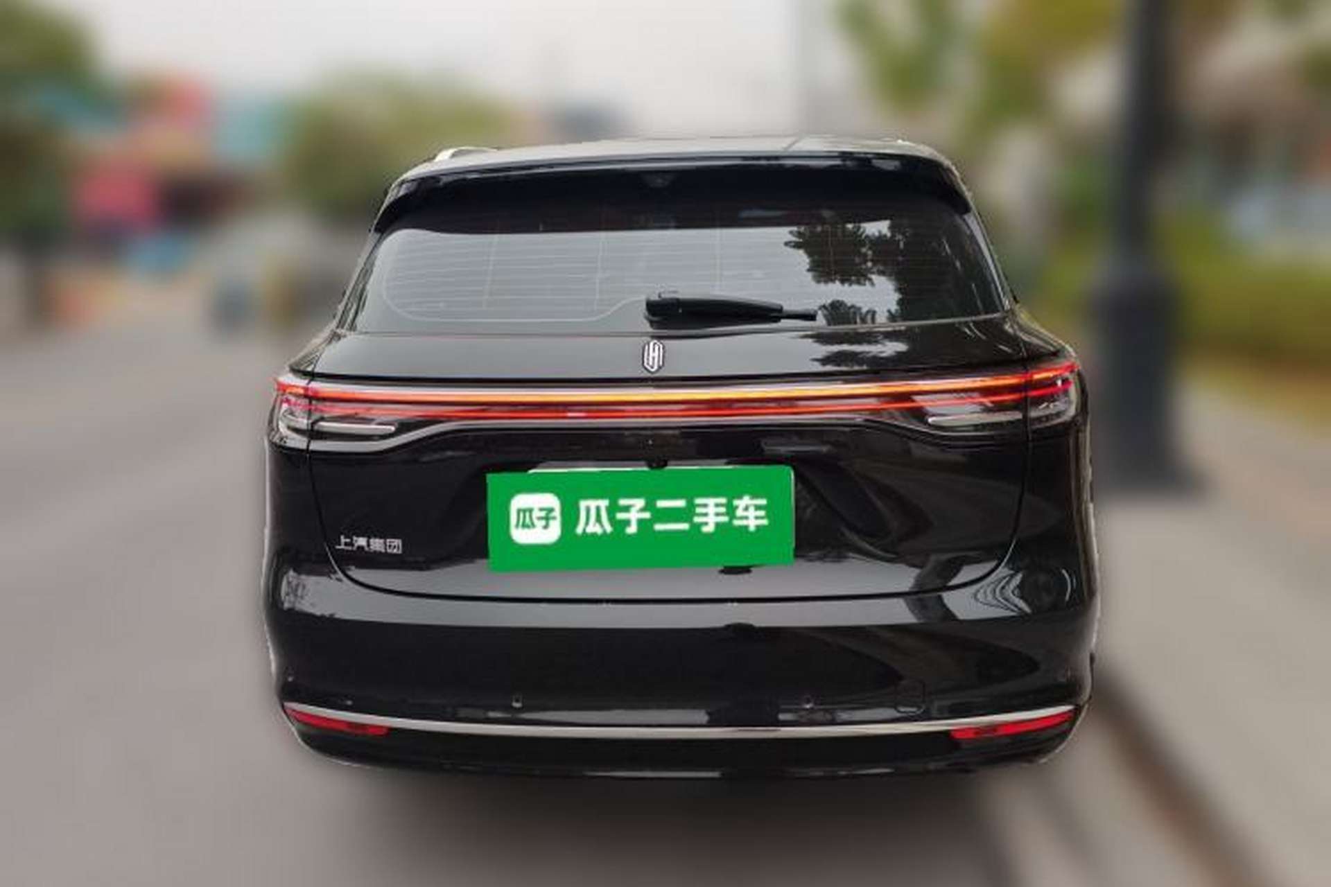 Used Hima H5 2025 Model Pure Electric Max Rear