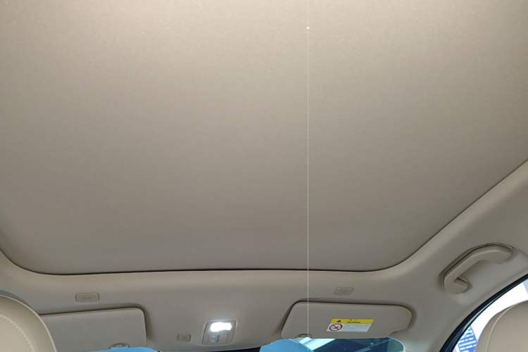 Used Hima H5 2025 Model Pure Electric Max Headliner
