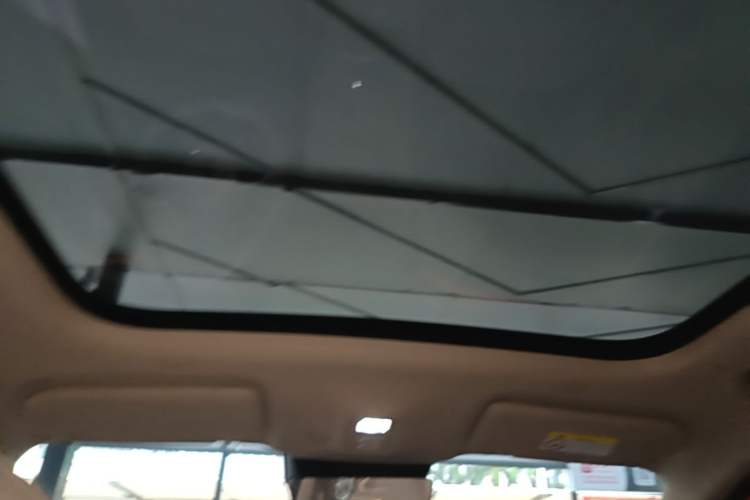 Used Hima H5 2025 Model Pure Electric Max Long Range Headliner
