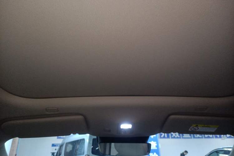 Used Hima H5 2025 Model Pure Electric Max Long Range Headliner