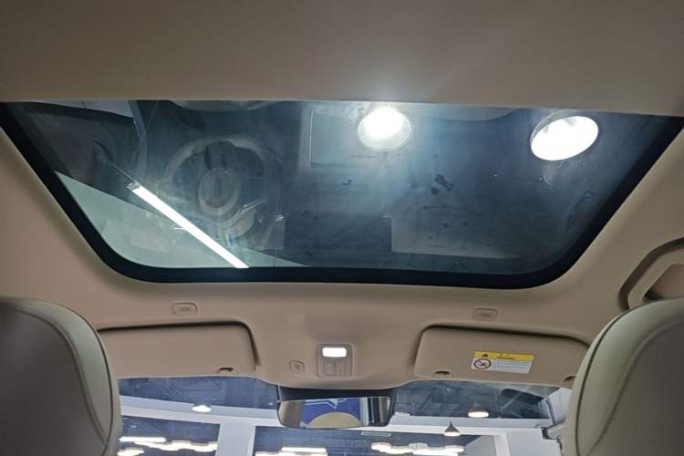 Used Hima H5 2025 Model Pure Electric Pro Headliner