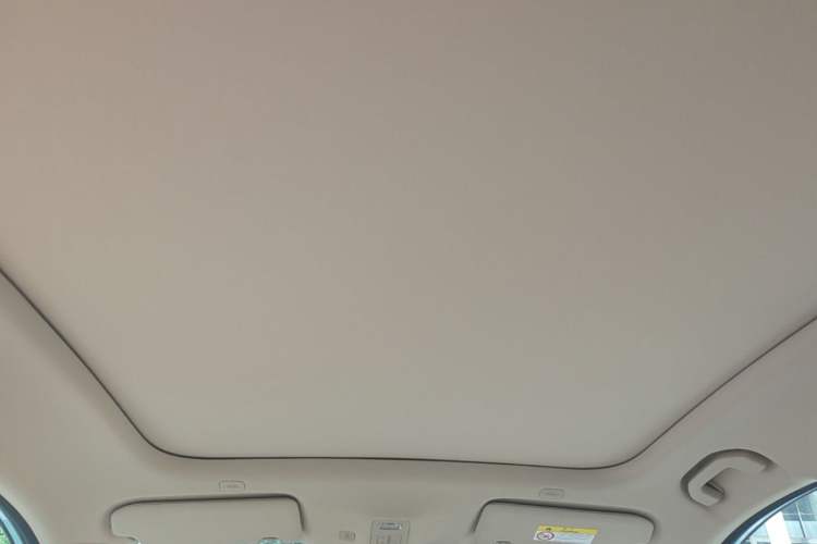 Used Hima H5 2025 Model Pure Electric Max Long Range Headliner
