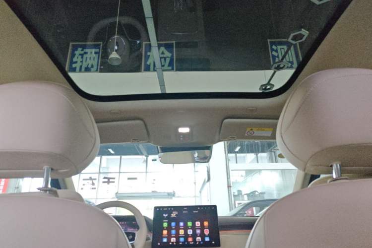 Used Hima H5 2025 Model Pure Electric Max Long Range Headliner