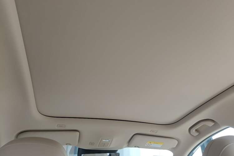 Used Hima H5 2025 Model Pure Electric Max Long Range Headliner