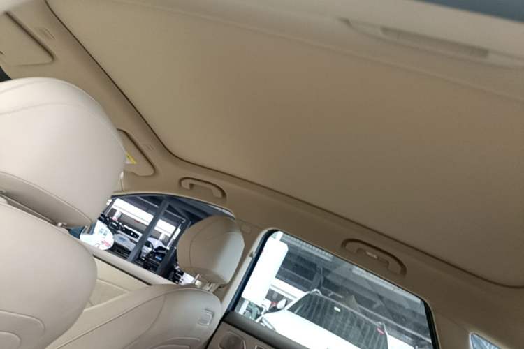 Used Hima H5 2025 Model Pure Electric Max Long Range Headliner