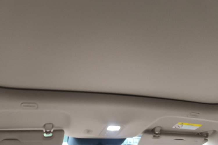 Used Hima H5 2025 Model Pure Electric Max Long Range Headliner
