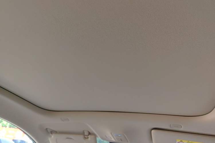 Used Hima H5 2025 Model Pure Electric Max Long Range Headliner