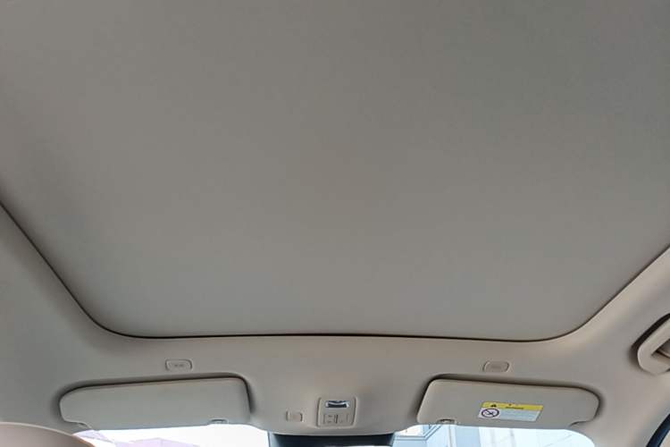 Used Hima H5 2025 Model Pure Electric Max Long Range Headliner