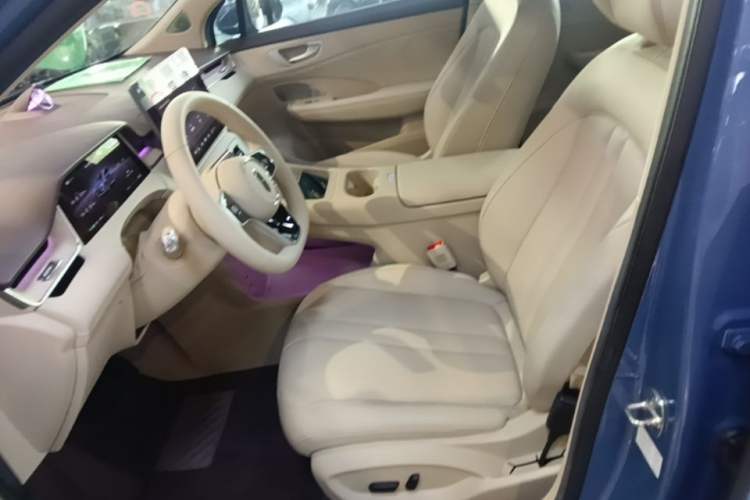 Used Hima H5 2025 Model Pure Electric Max Long Range Left Front Seat