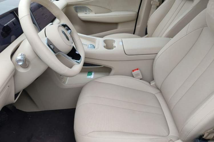 Used Hima H5 2025 Model Range-Extending Max Left Front Seat