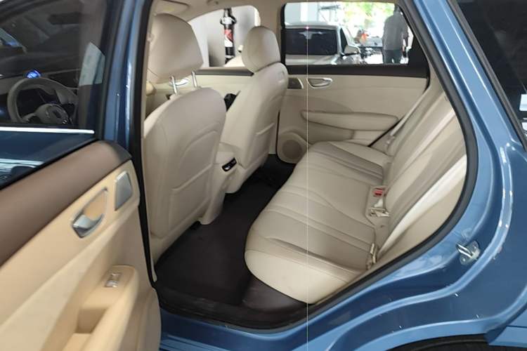 Used Hima H5 2025 Model Pure Electric Max Left Rear Seat