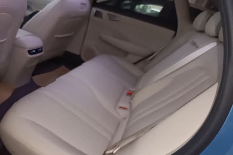 Used Hima H5 2025 Model Pure Electric Max Long Range Left Rear Seat