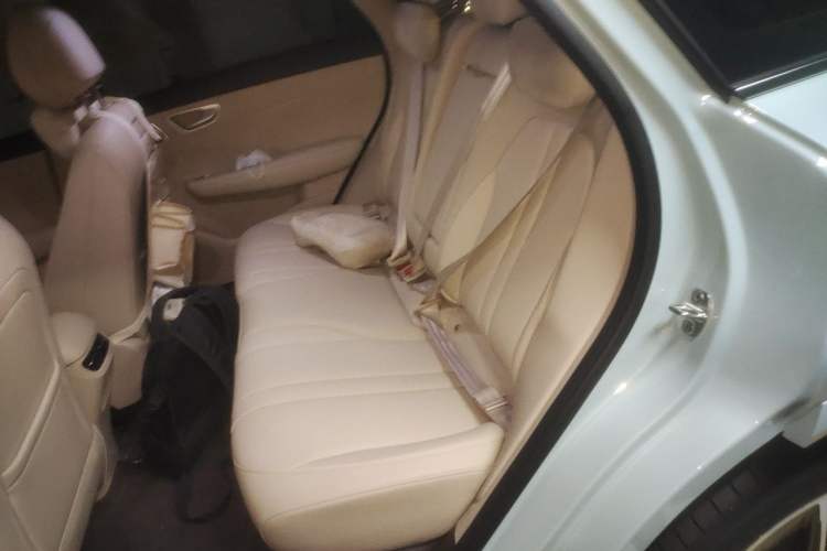 Used Hima H5 2025 Model Pure Electric Max Left Rear Seat
