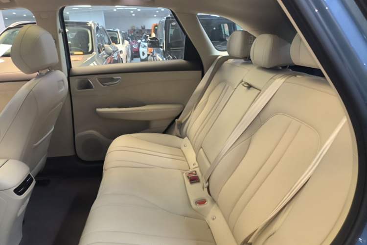Used Hima H5 2025 Model Range-Extending Max Left Rear Seat