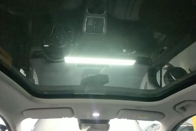 Used Hima H5 2025 Model Pure Electric Pro Headliner