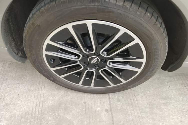 Used Hima H5 2025 Model Range-Extending Max Exterior 5