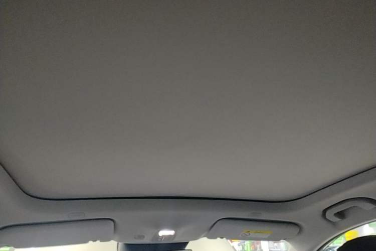 Used Hima H5 2025 Model Pure Electric Pro Headliner