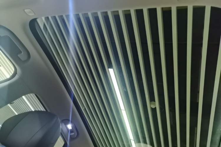 Used Hima H5 2025 Model Pure Electric Max Headliner