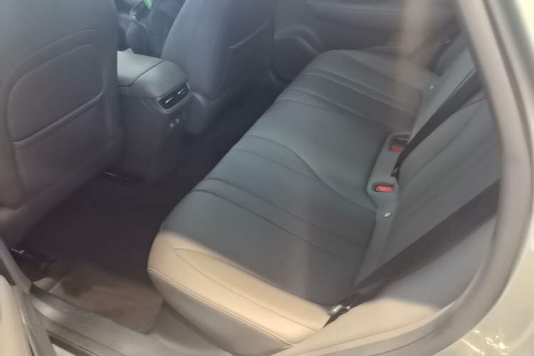 Used Hima H5 2025 Model Pure Electric Max Left Rear Seat